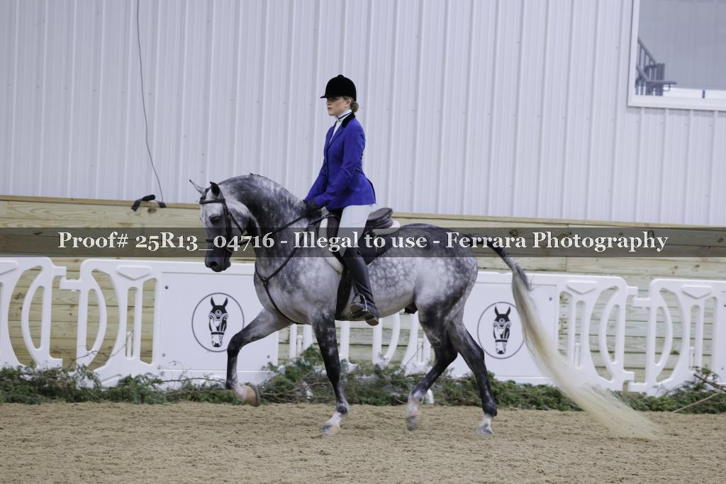 Proof 25R13_04716