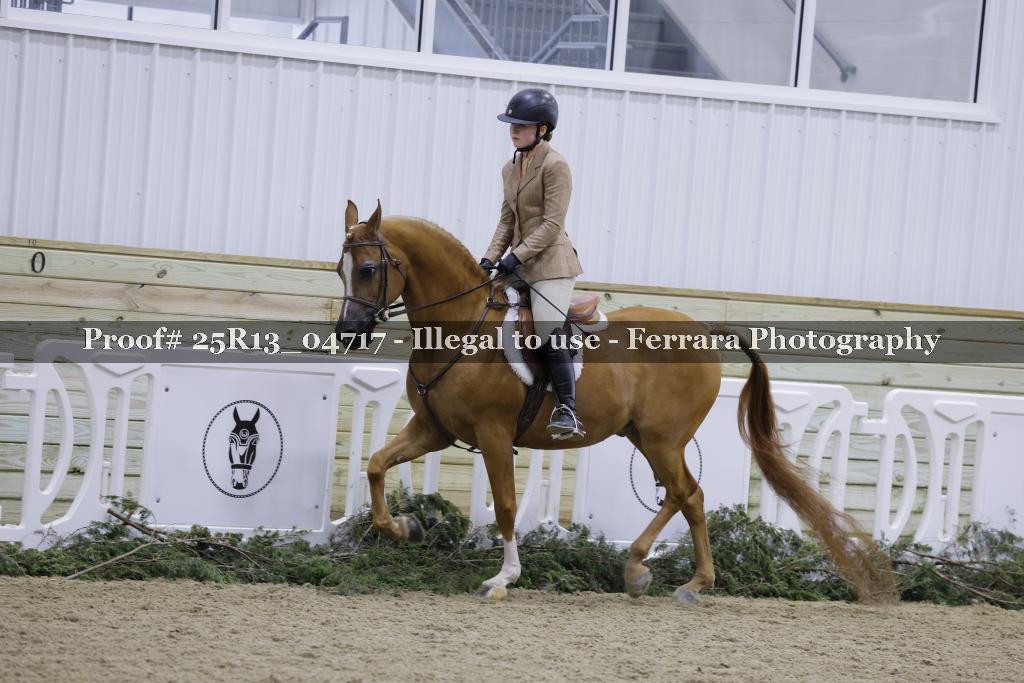 Proof 25R13_04717