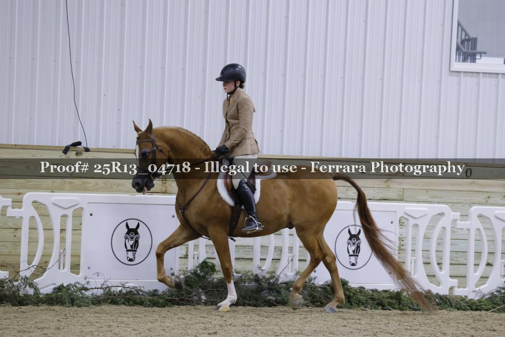 Proof 25R13_04718