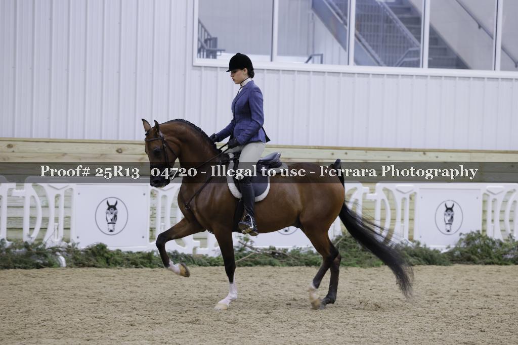 Proof 25R13_04720