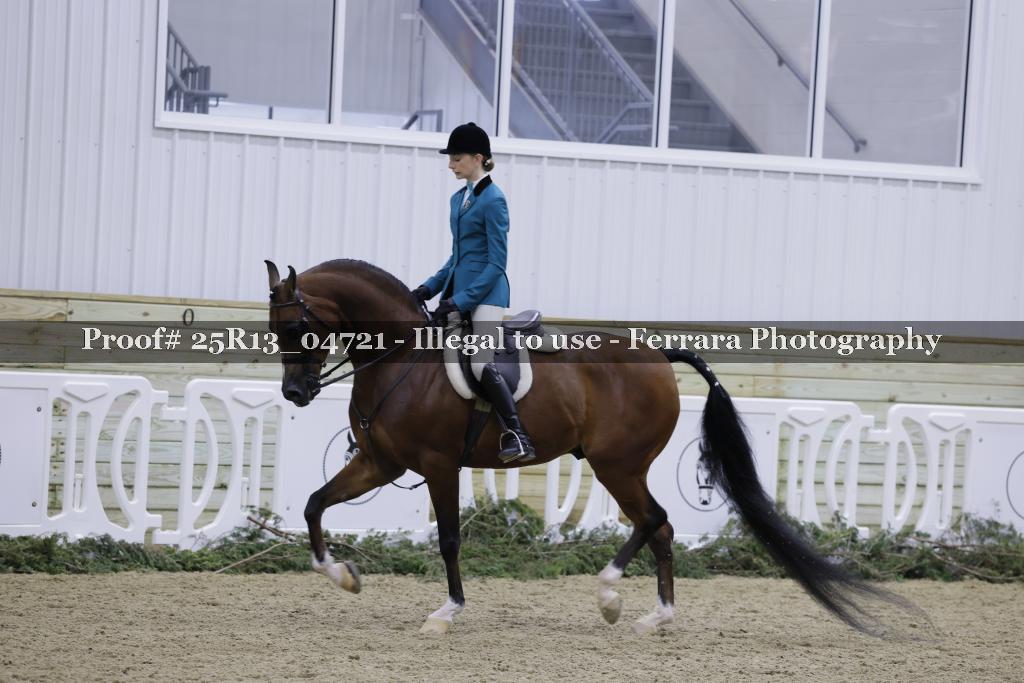Proof 25R13_04721