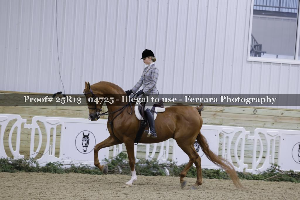 Proof 25R13_04725