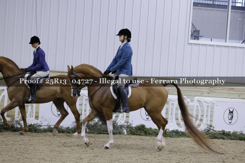 Proof 25R13_04727