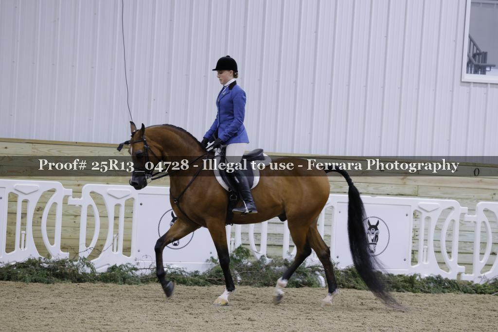 Proof 25R13_04728