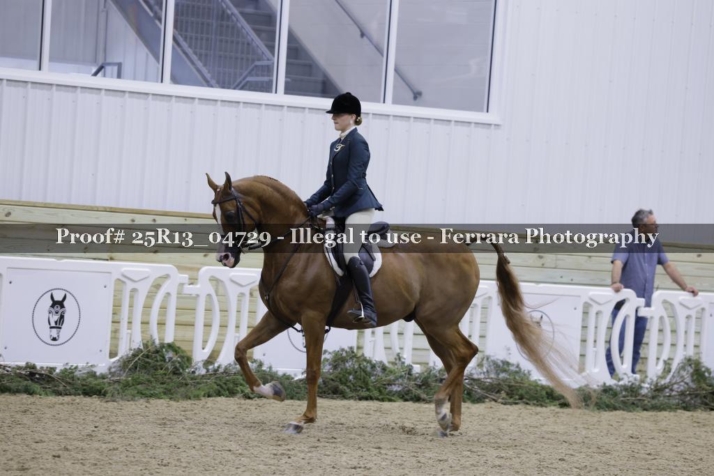 Proof 25R13_04729