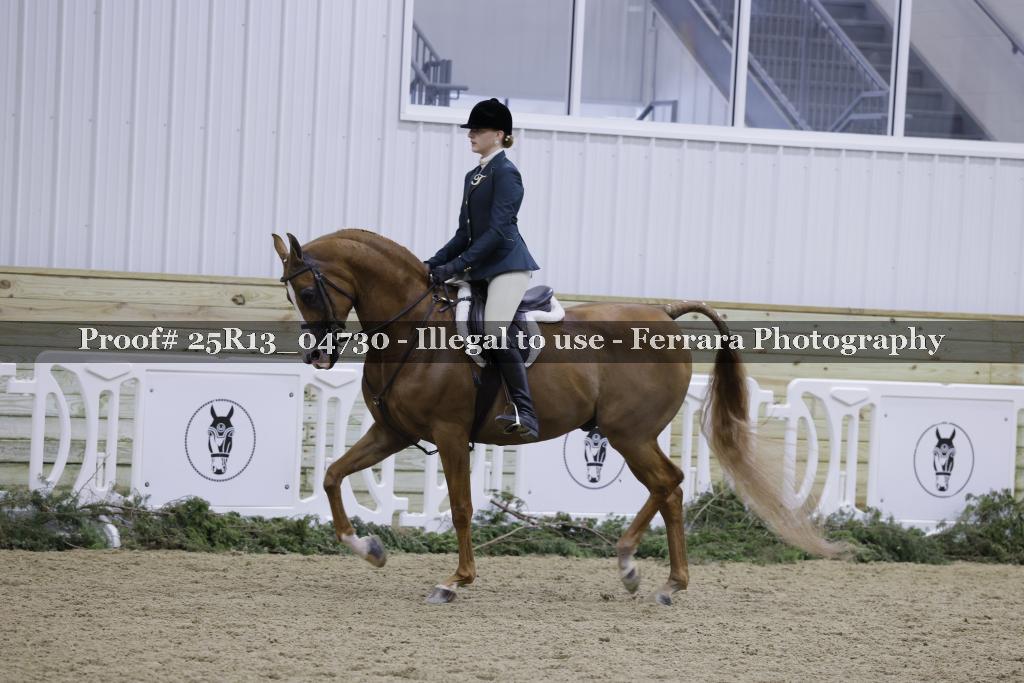 Proof 25R13_04730