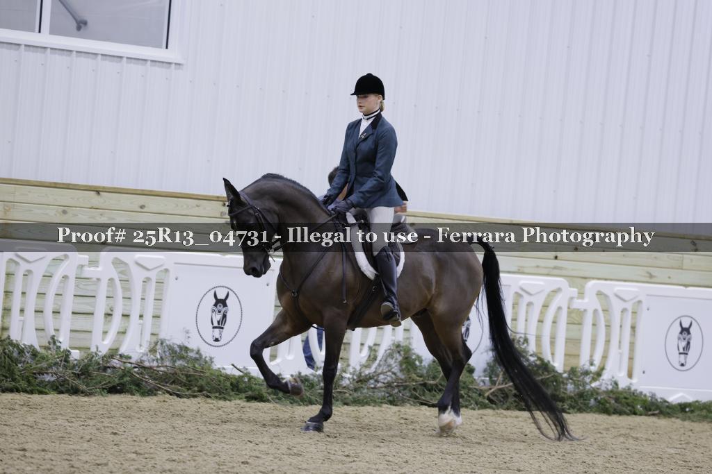 Proof 25R13_04731