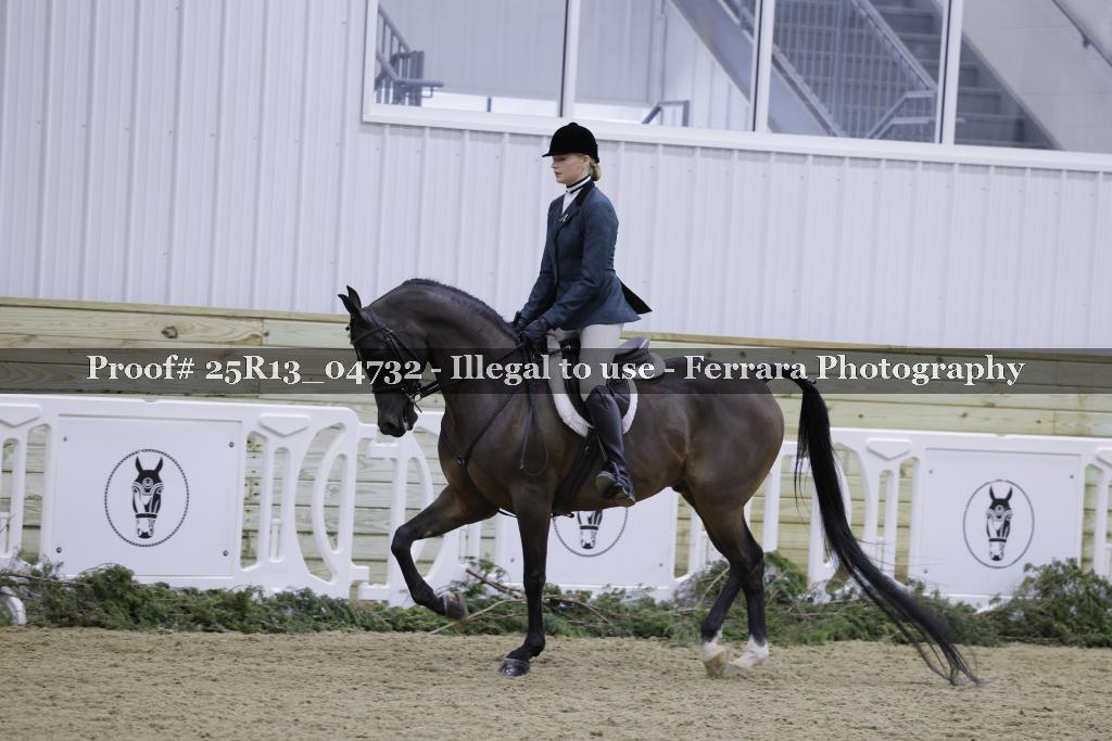 Proof 25R13_04732