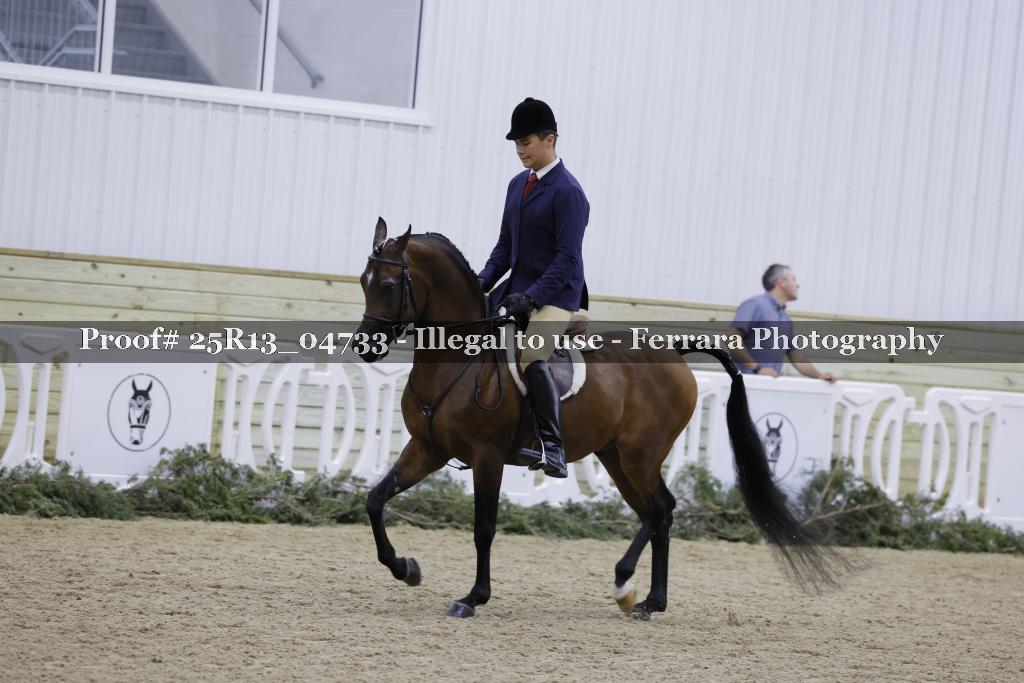 Proof 25R13_04733
