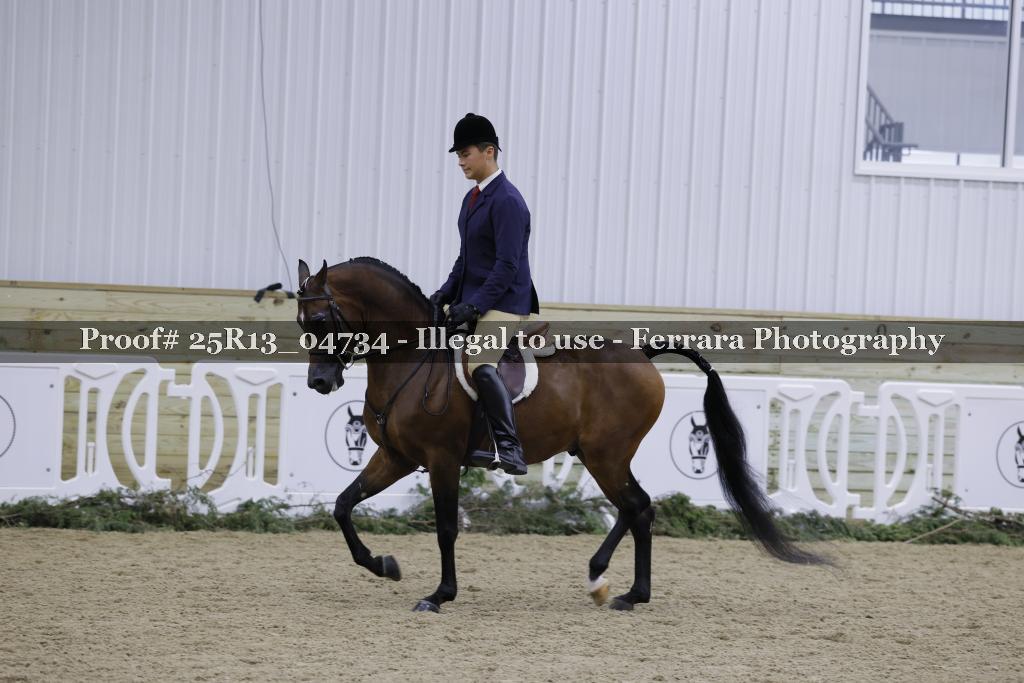 Proof 25R13_04734
