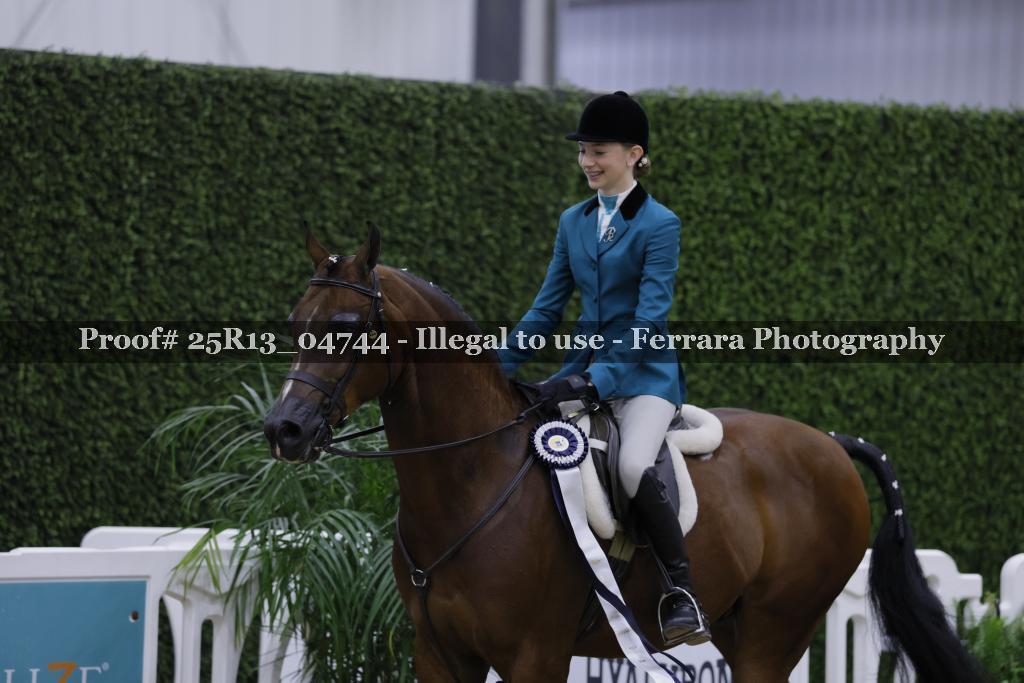 Proof 25R13_04744