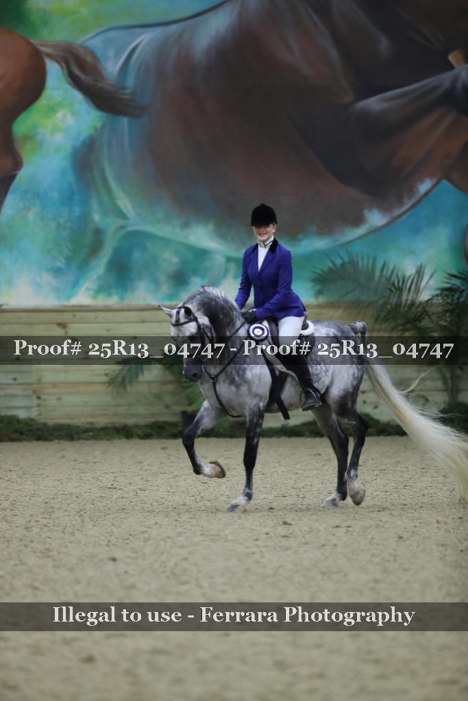 Proof 25R13_04747