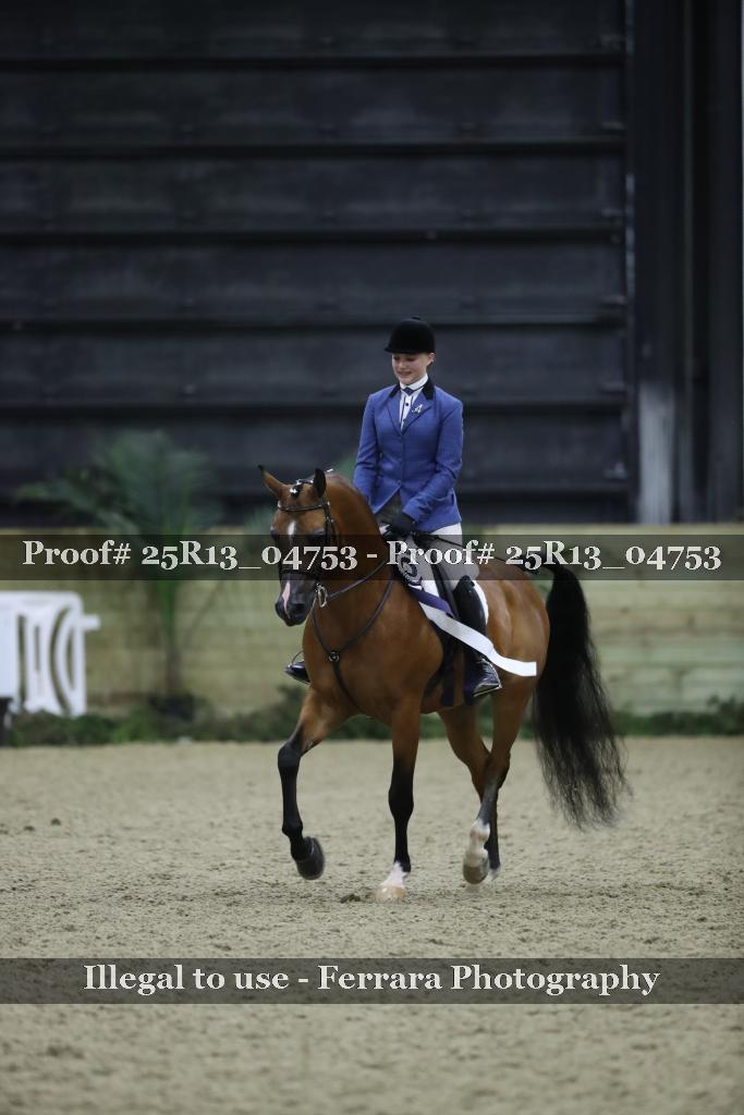 Proof 25R13_04753
