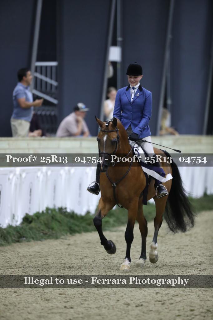 Proof 25R13_04754