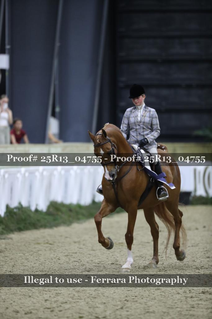 Proof 25R13_04755