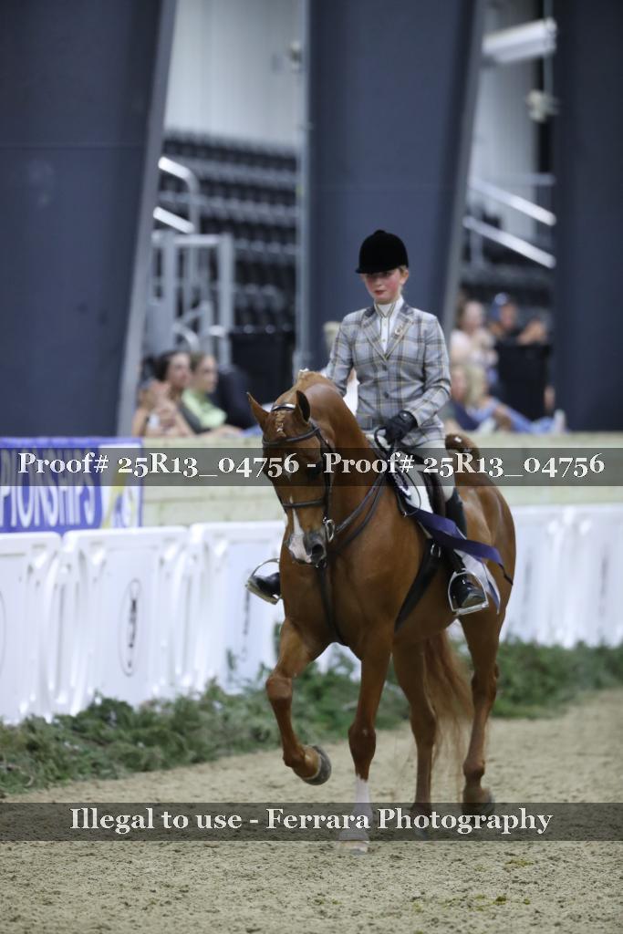 Proof 25R13_04756