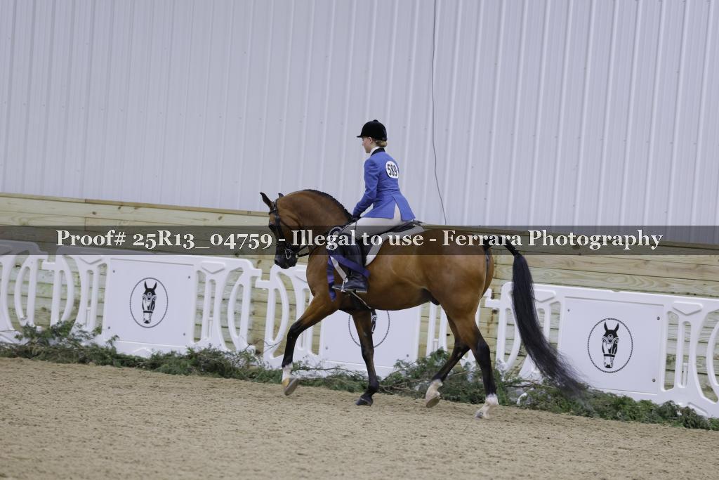 Proof 25R13_04759