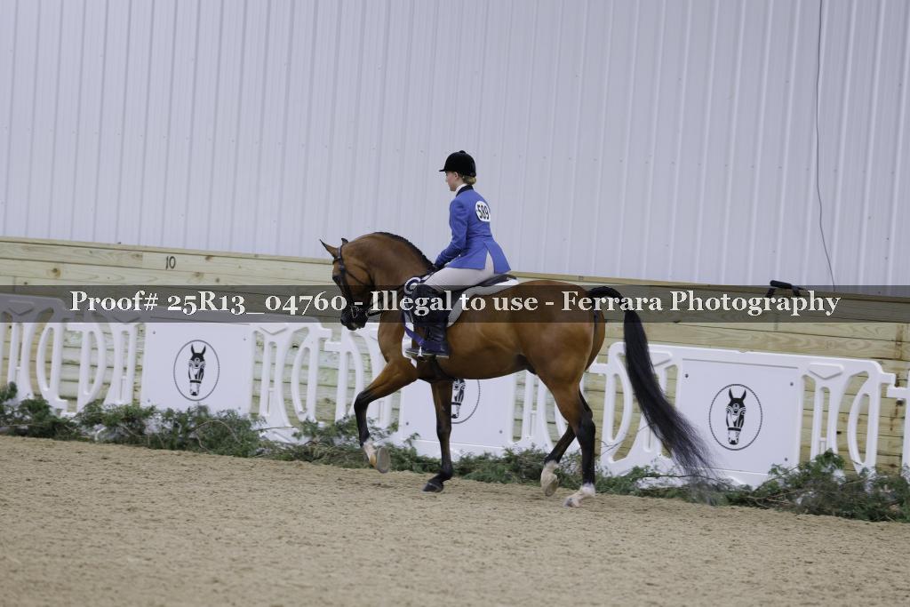 Proof 25R13_04760