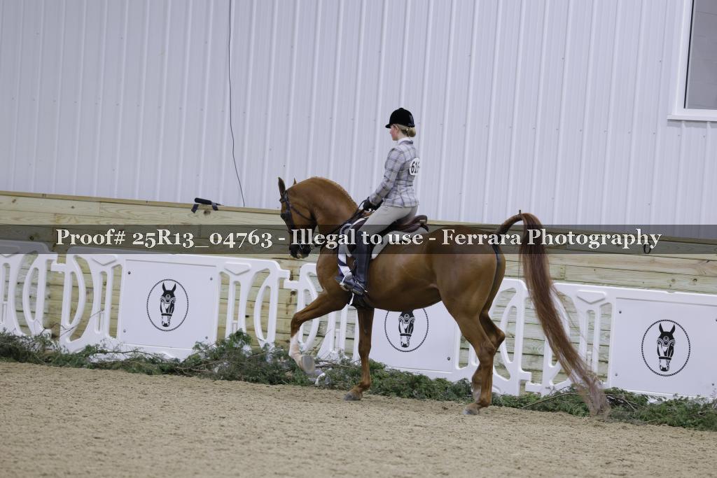 Proof 25R13_04763