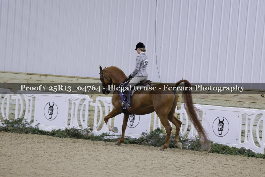 Proof 25R13_04764