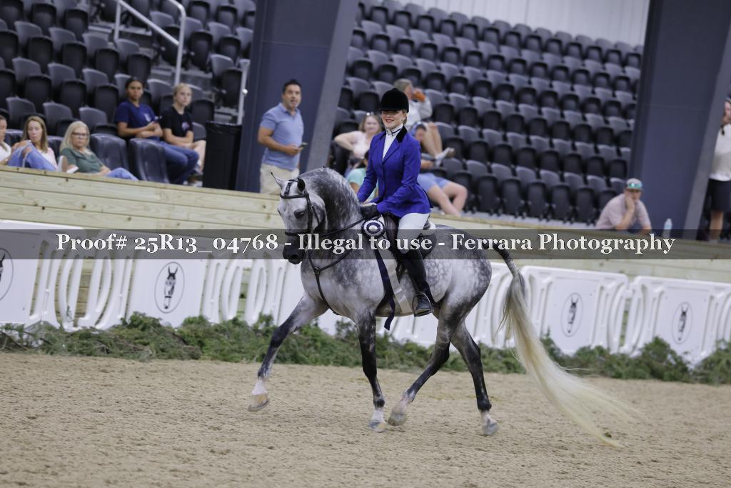 Proof 25R13_04768
