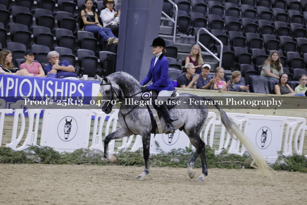 Proof 25R13_04770