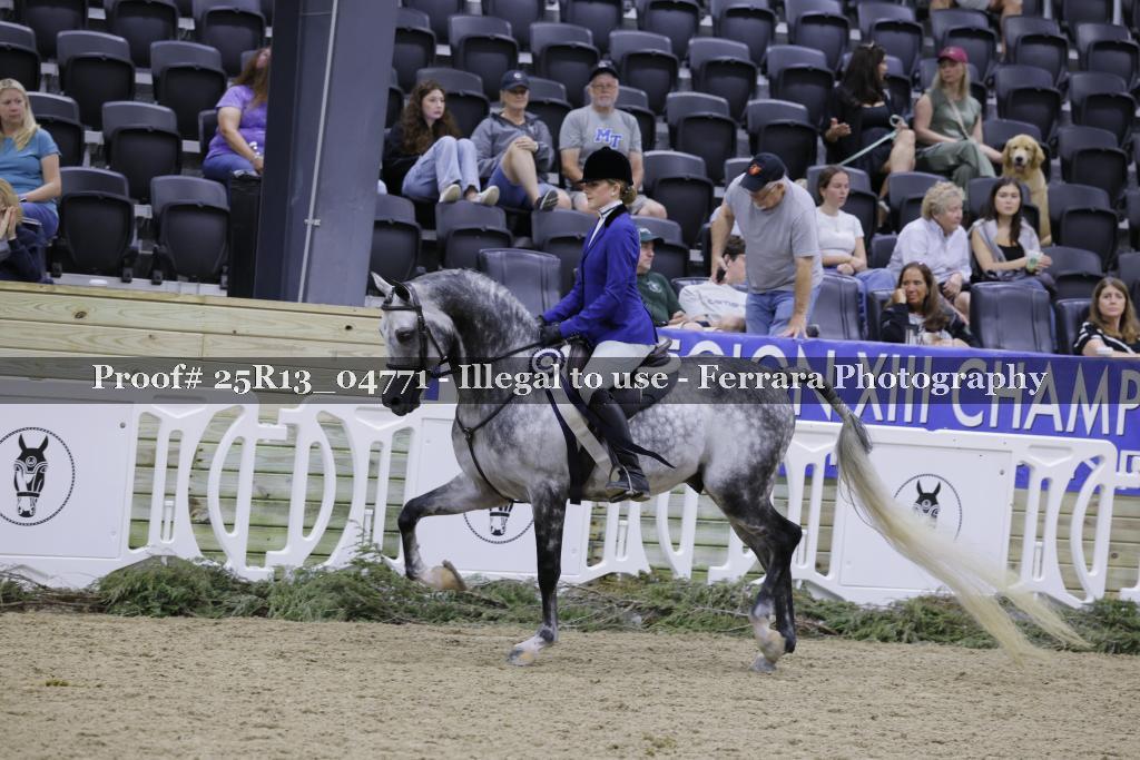 Proof 25R13_04771