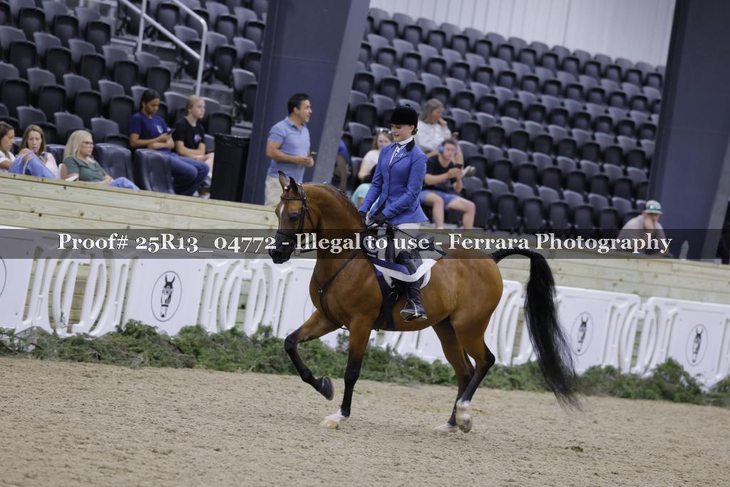 Proof 25R13_04772