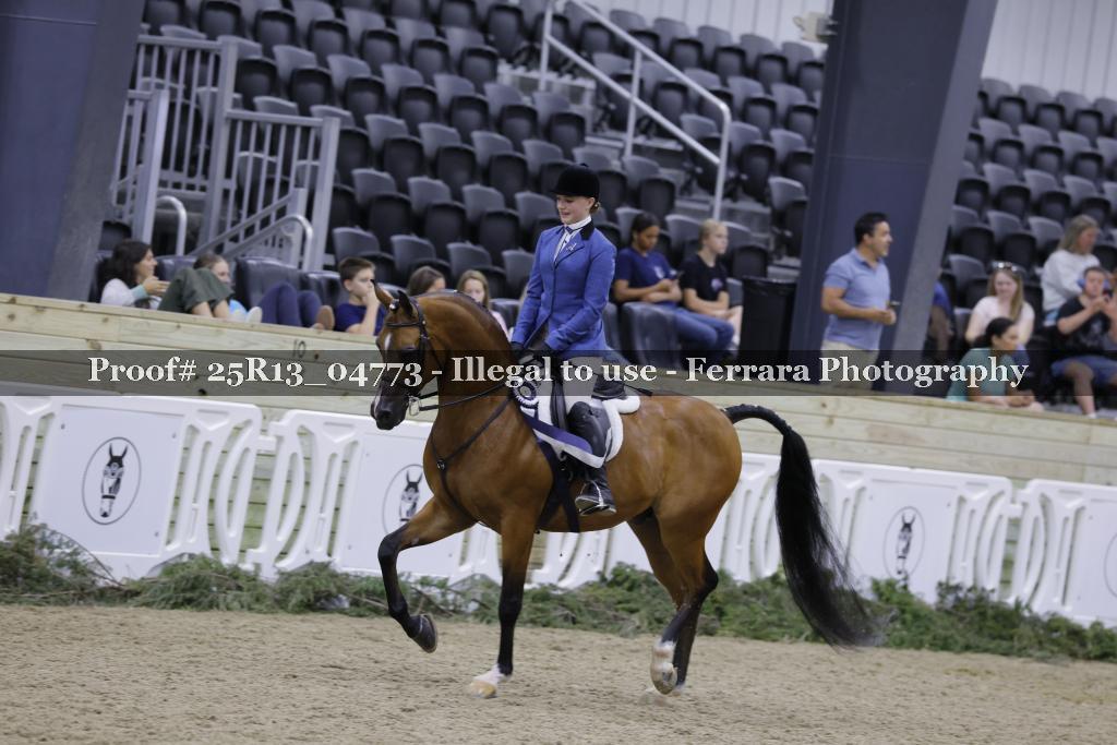 Proof 25R13_04773