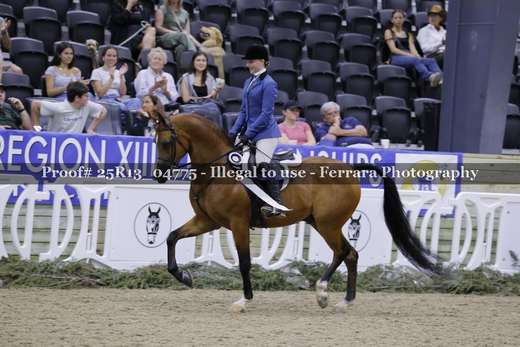 Proof 25R13_04775