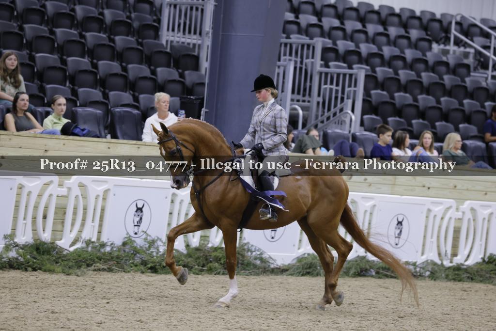 Proof 25R13_04777