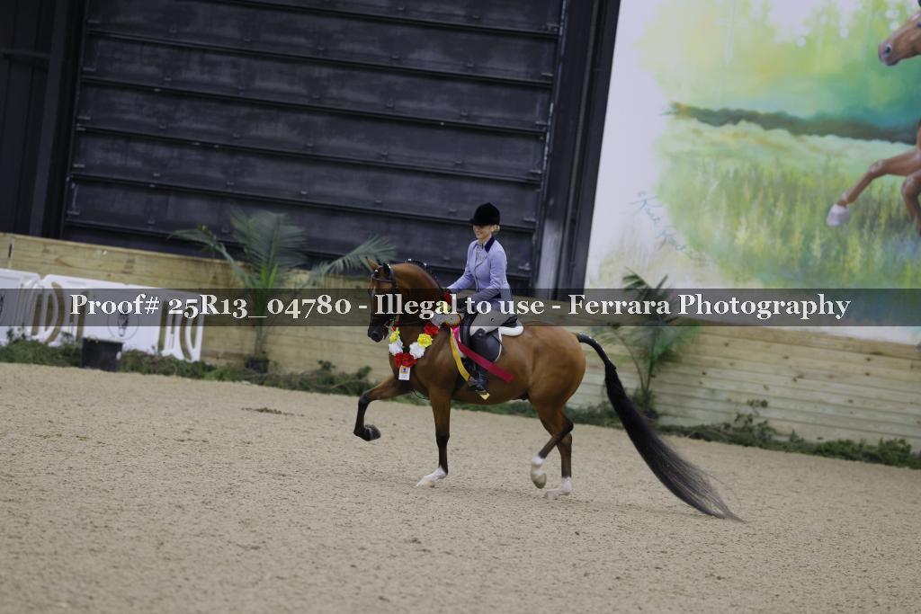 Proof 25R13_04780