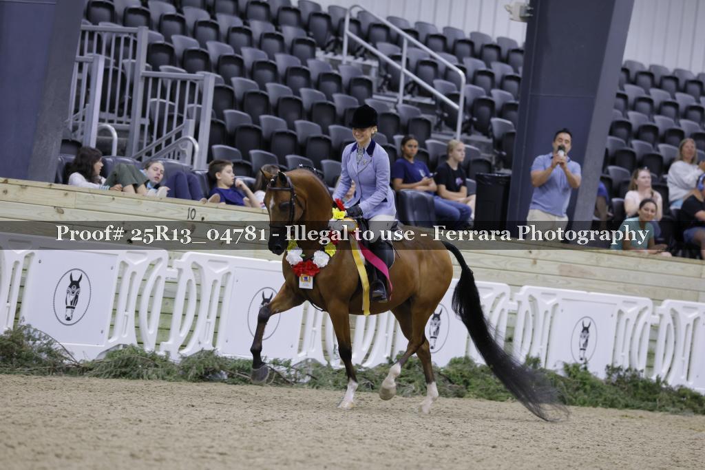 Proof 25R13_04781
