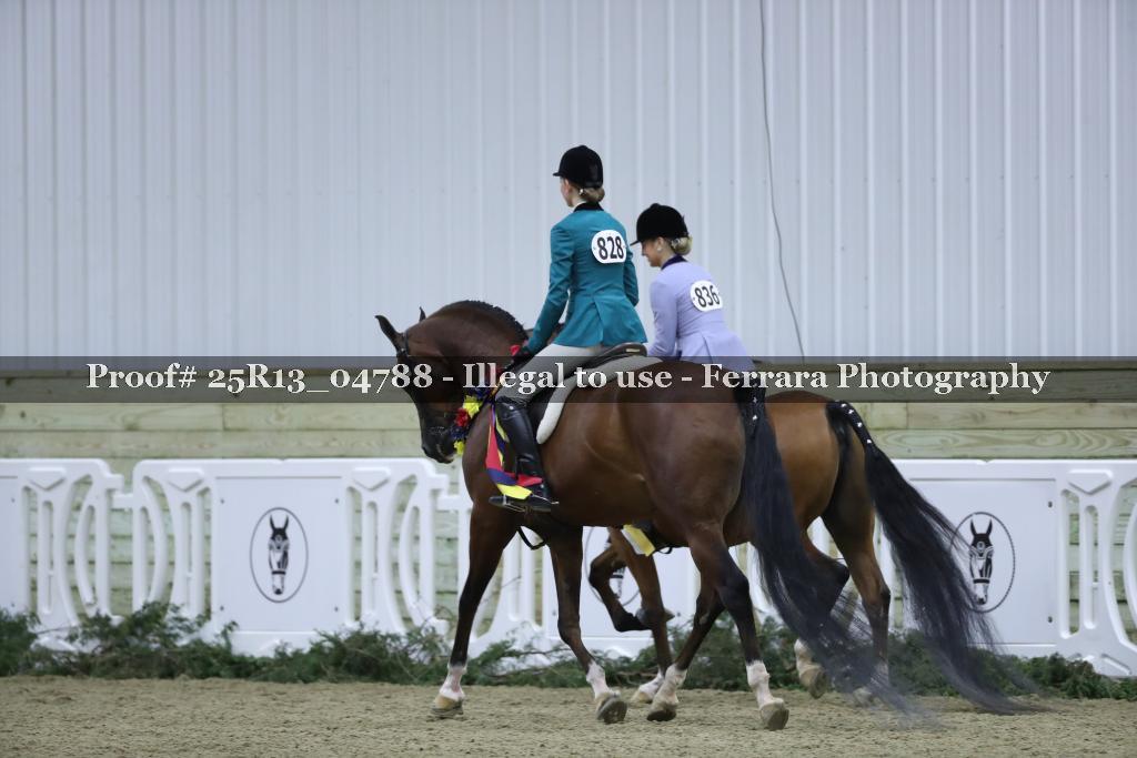 Proof 25R13_04788