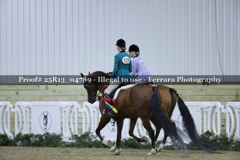 Proof 25R13_04789
