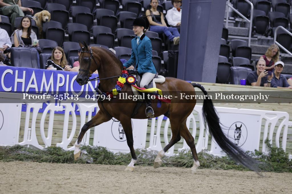 Proof 25R13_04794