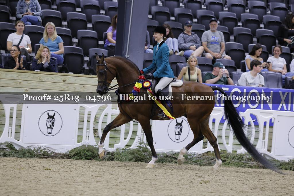 Proof 25R13_04796