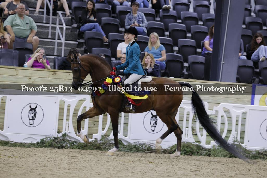 Proof 25R13_04797