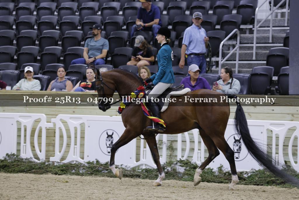 Proof 25R13_04799