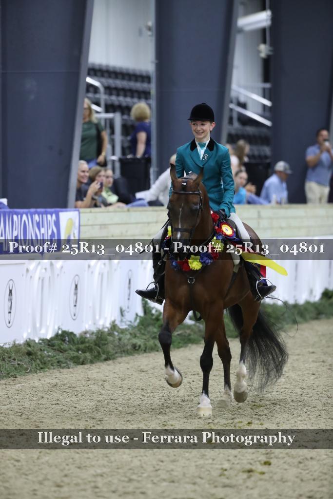 Proof 25R13_04801