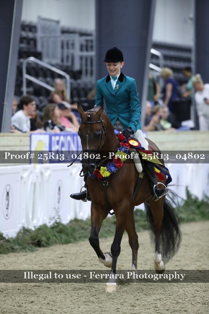 Proof 25R13_04802