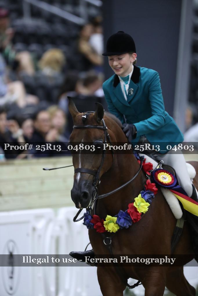 Proof 25R13_04803
