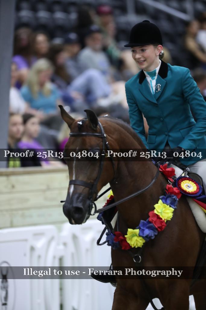 Proof 25R13_04804