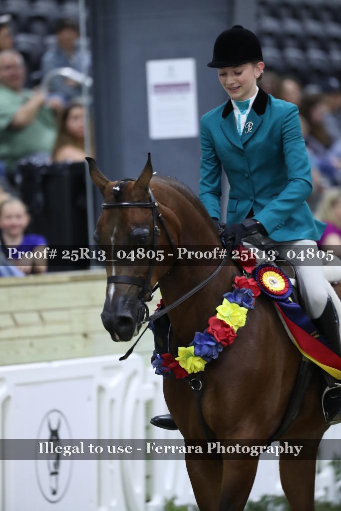 Proof 25R13_04805