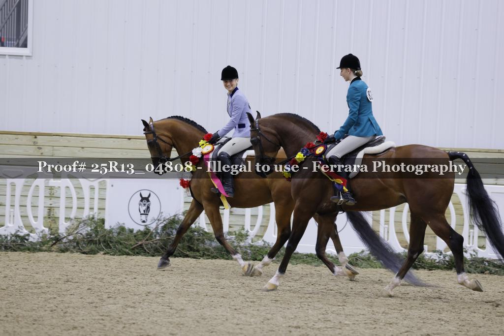 Proof 25R13_04808