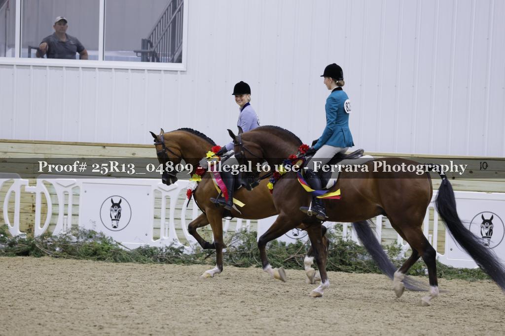 Proof 25R13_04809