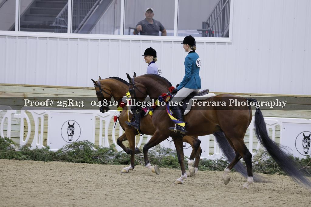 Proof 25R13_04810