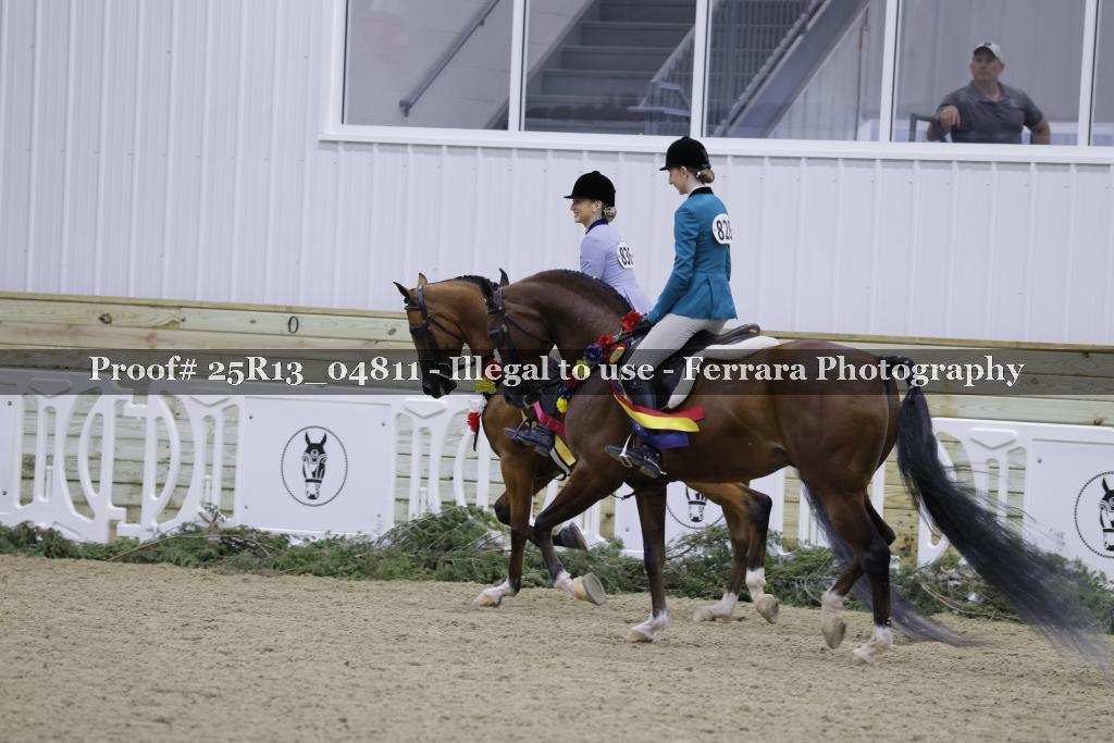 Proof 25R13_04811