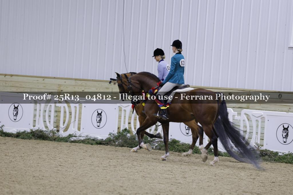 Proof 25R13_04812