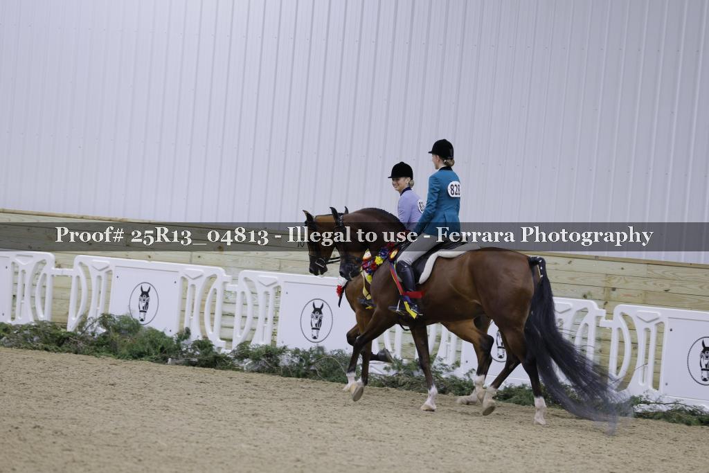 Proof 25R13_04813
